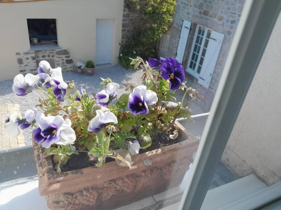 Gite Tante Jeanne Reville Exterior photo